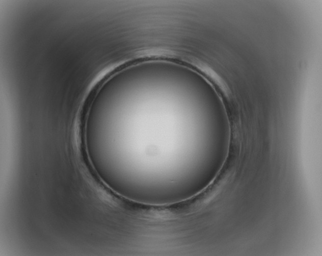 X0000113150983200909110950