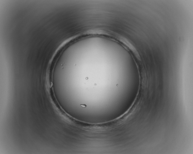 X0000113150984200909110950