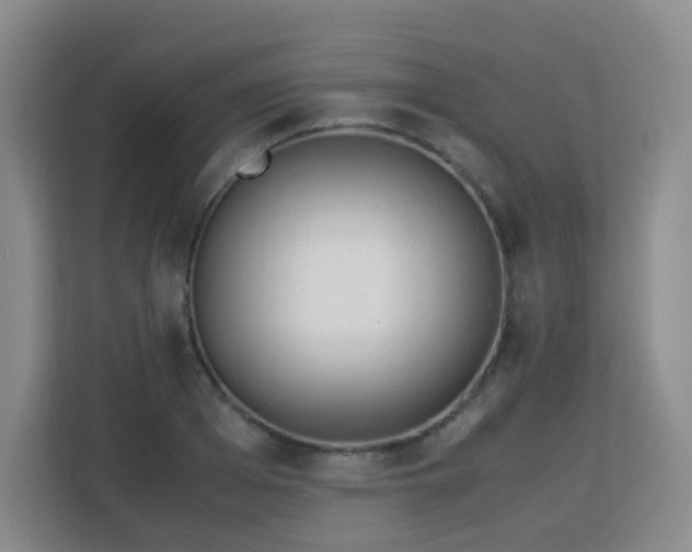 X0000113150985200909110950