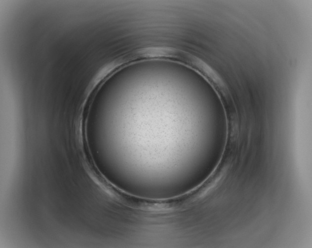 X0000113150986200909110950