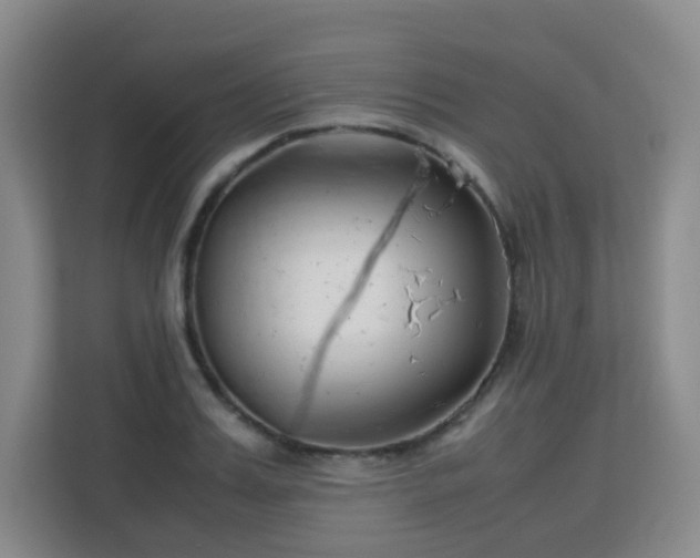 X0000113150987200909110950