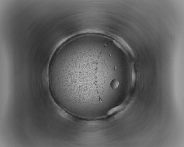 X0000113150988200909110950