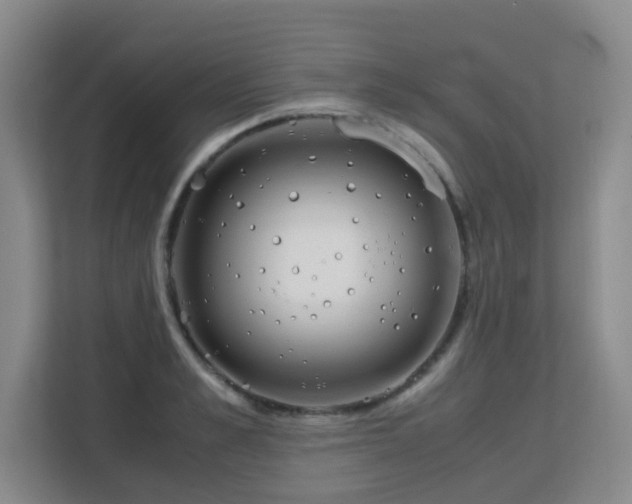 X0000113150989200909110950