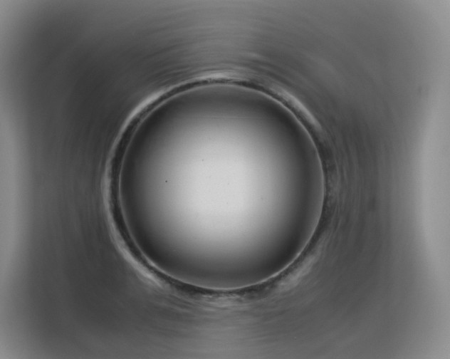 X0000113150991200909110950