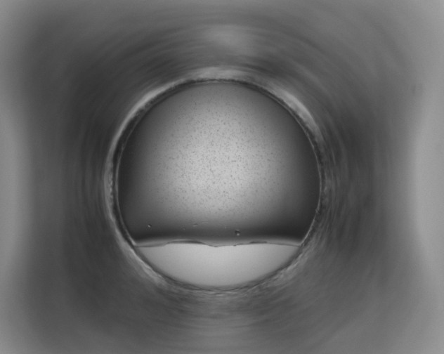 X0000113150992200909110950