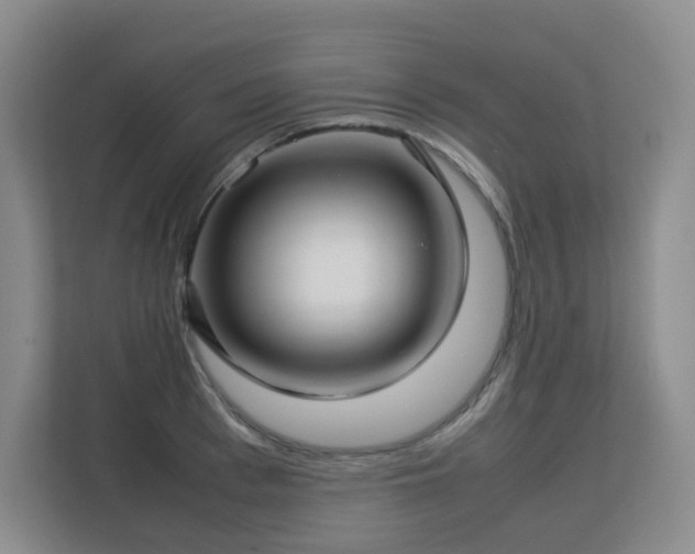 X0000113150993200909110950