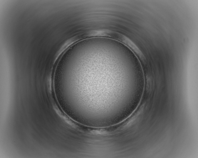 X0000113150994200909110950