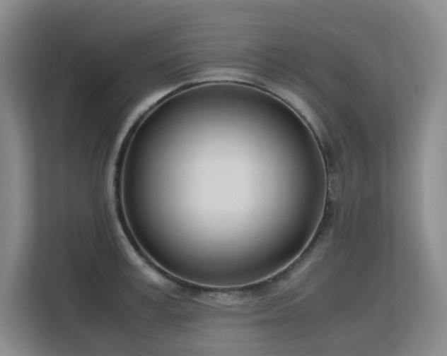 X0000113150995200909110950