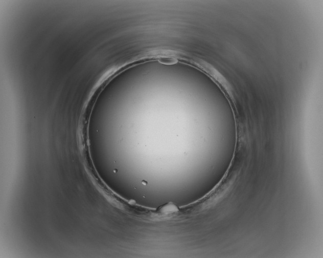 X0000113150997200909110950