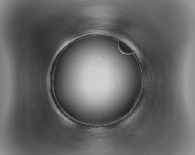 X0000113150999200909110950