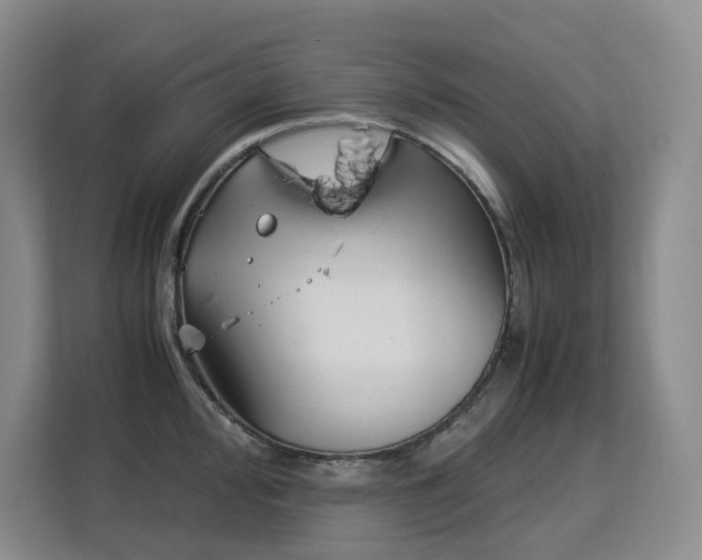 X0000113151000200909110950