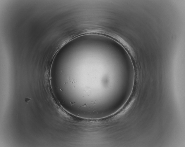 X0000113151001200909110950