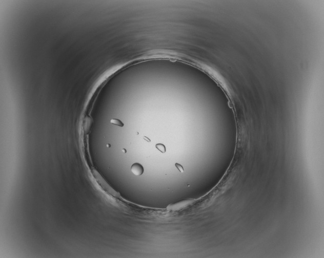 X0000113151003200909110950