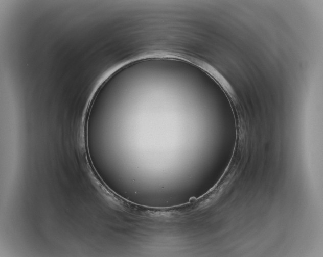 X0000113151004200909110950