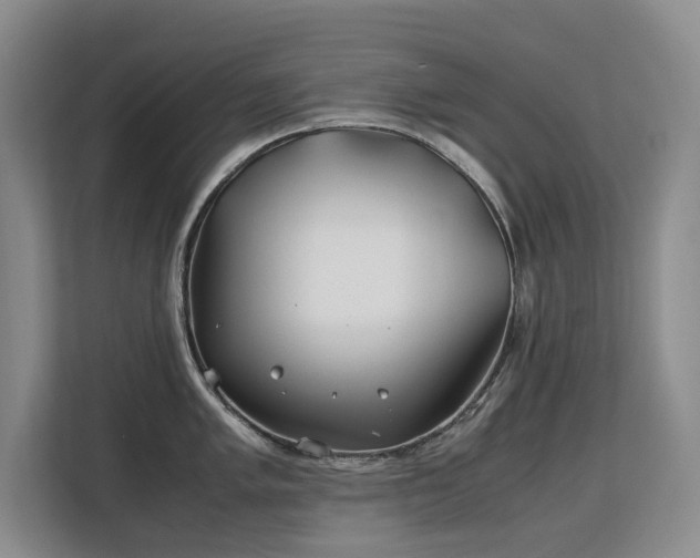 X0000113151005200909110950