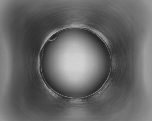 X0000113151006200909110950