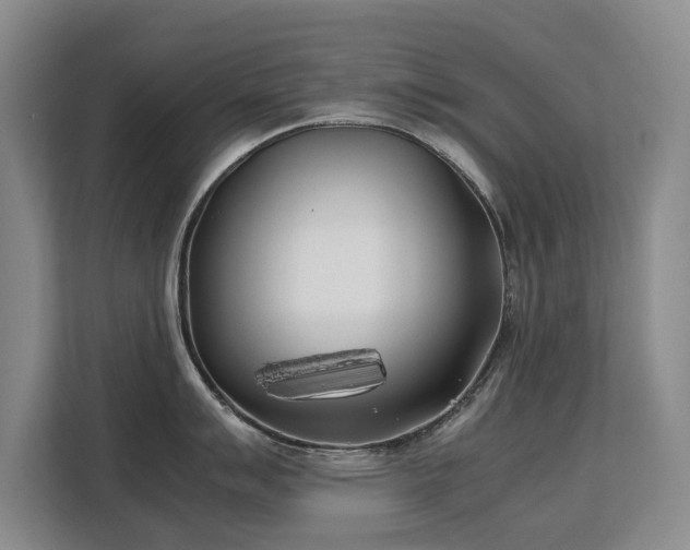 X0000113151007200909110950