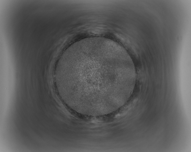 X0000113151009200909110950