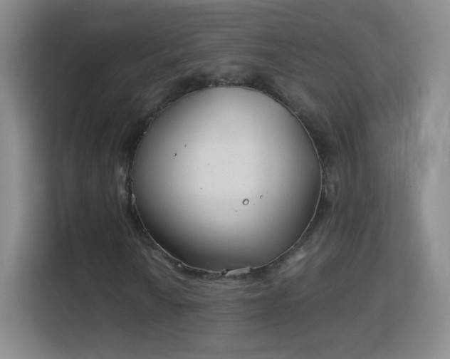 X0000113151010200909110950