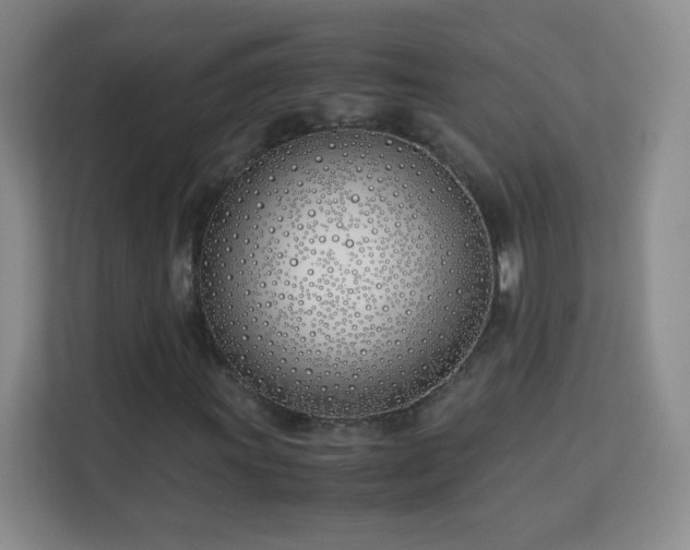 X0000113151011200909110950