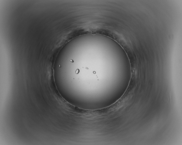 X0000113151012200909110950