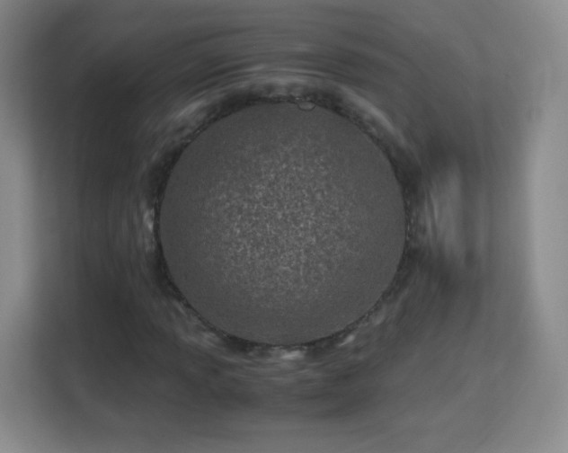 X0000113151013200909110950