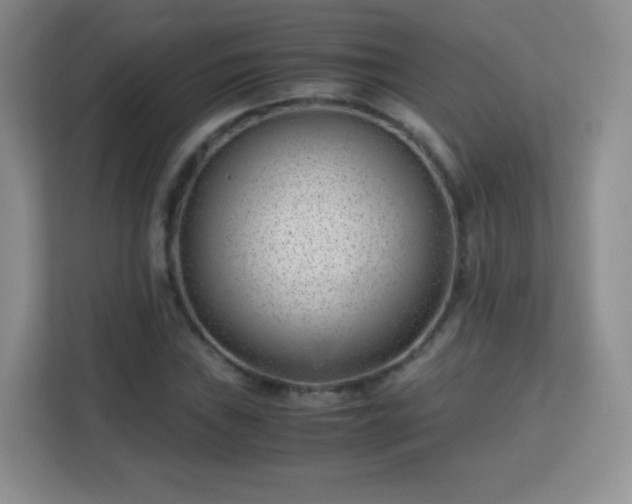 X0000113151019200909110950