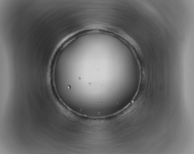 X0000113151020200909110950