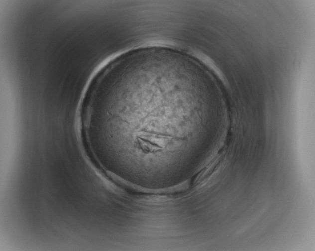 X0000113151024200909110950