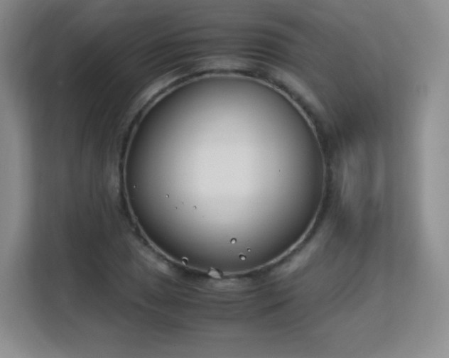 X0000113151025200909110950