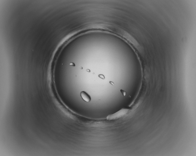 X0000113151028200909110950