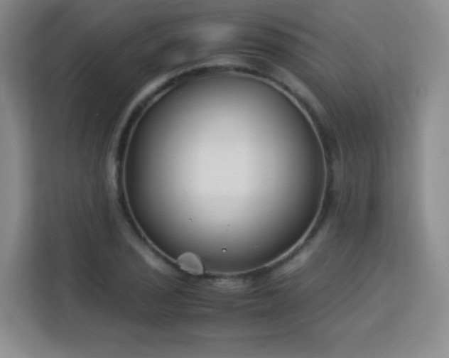 X0000113151029200909110950