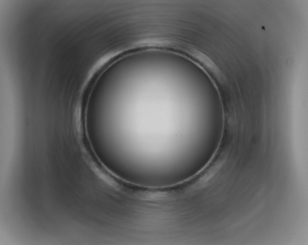 X0000113151030200909110950