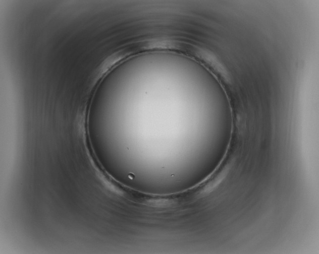 X0000113151033200909110950