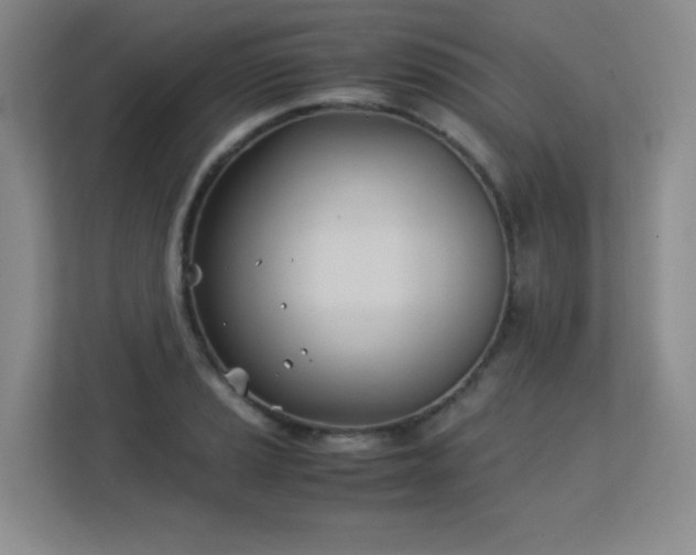 X0000113151037200909110950