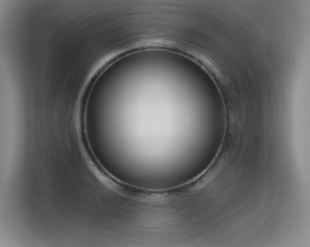 X0000113151038200909110950