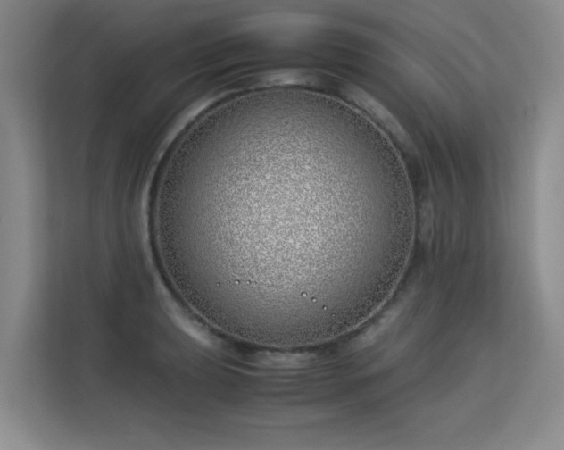 X0000113151039200909110950