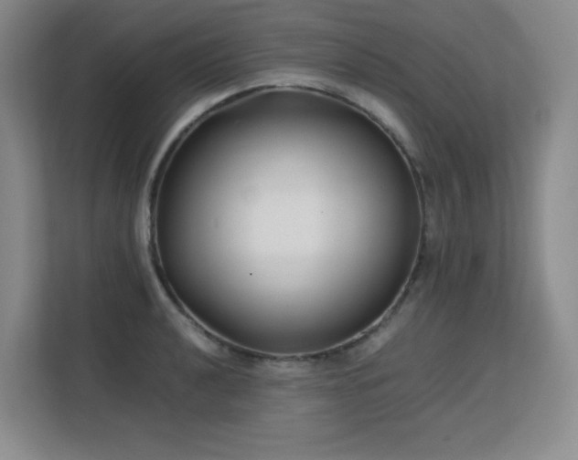 X0000113151040200909110950