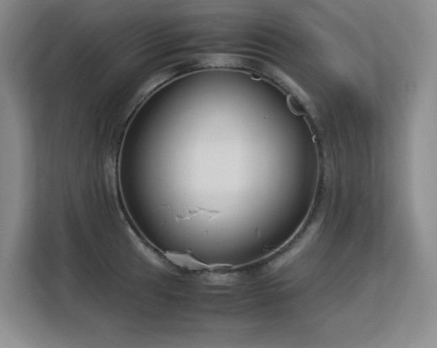 X0000113151041200909110950