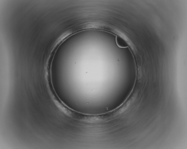 X0000113151042200909110950