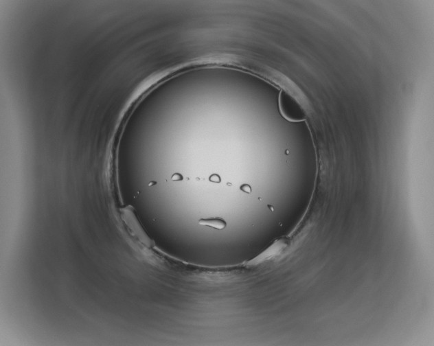 X0000113151044200909110950