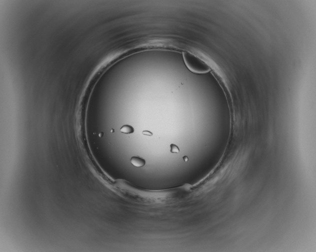 X0000113151045200909110950