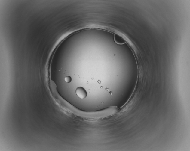 X0000113151048200909110950