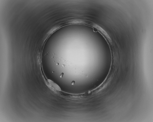 X0000113151049200909110950