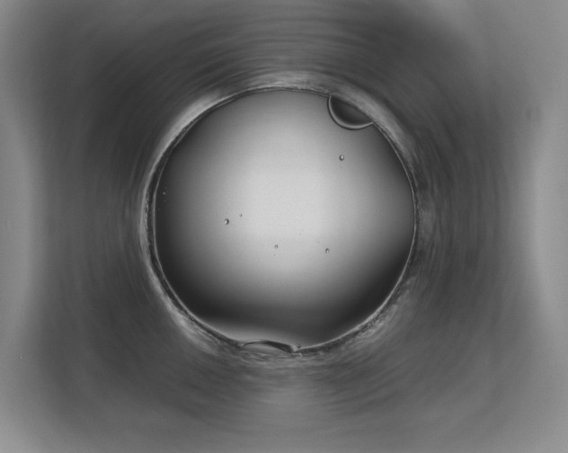 X0000113151050200909110950