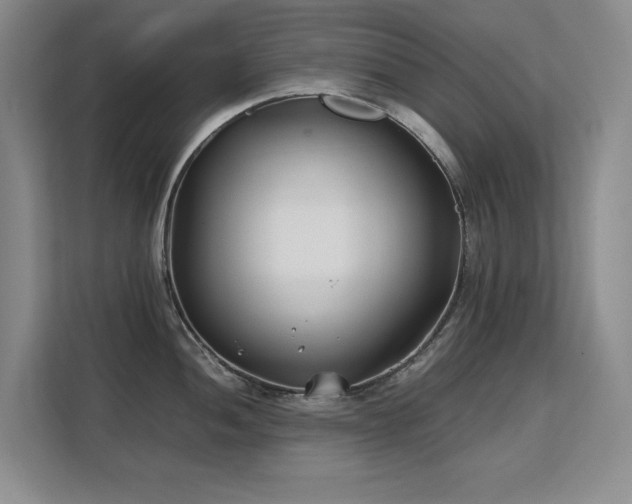 X0000113151052200909110950