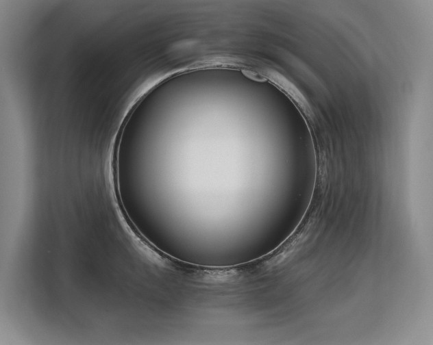 X0000113151055200909110950