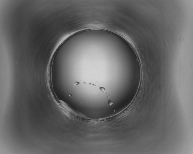 X0000113151056200909110950