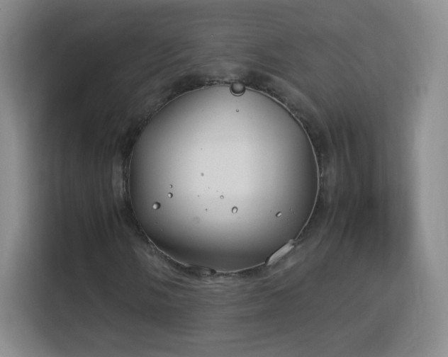 X0000113151058200909110949