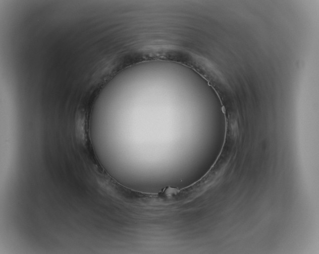 X0000113151060200909110949